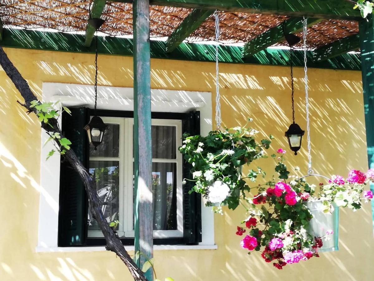 Willa Garden House In Corfu Corfu  Zewnętrze zdjęcie