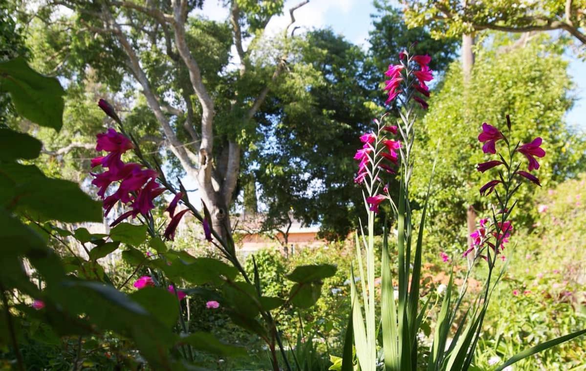 Willa Garden House In Corfu Corfu  Zewnętrze zdjęcie